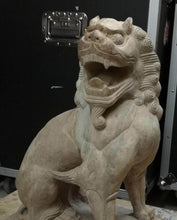 將圖片載入圖庫檢視器 非常罕見的大石頭獅子
